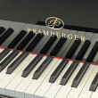 2005 JP Pramberger Platinum Edition grand piano - Grand Pianos